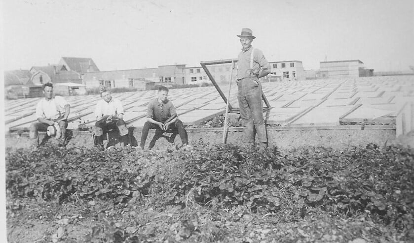 Plat glas in Pijnacker in vroeger jaren. Op de achtergrond de Julianalaan. Foto: HGOP