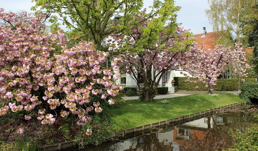 Foto: Martijn Mastenbroek