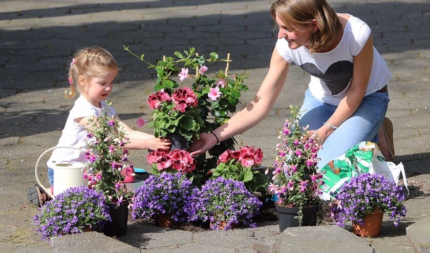 <p>Haal er een tegel uit en zet er planten in om het ontstane gat op te vullen.</p>