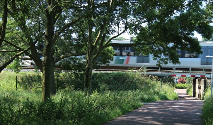 Afbeelding