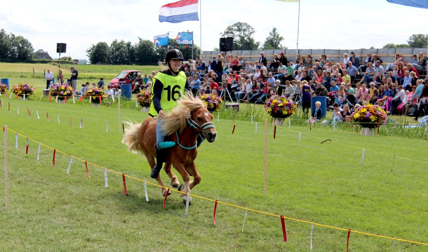 Ponyrennen (foto: Dick Janssen).
