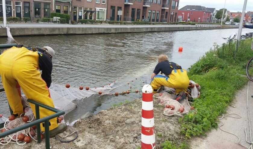 Foto: Marjolijn Schaap