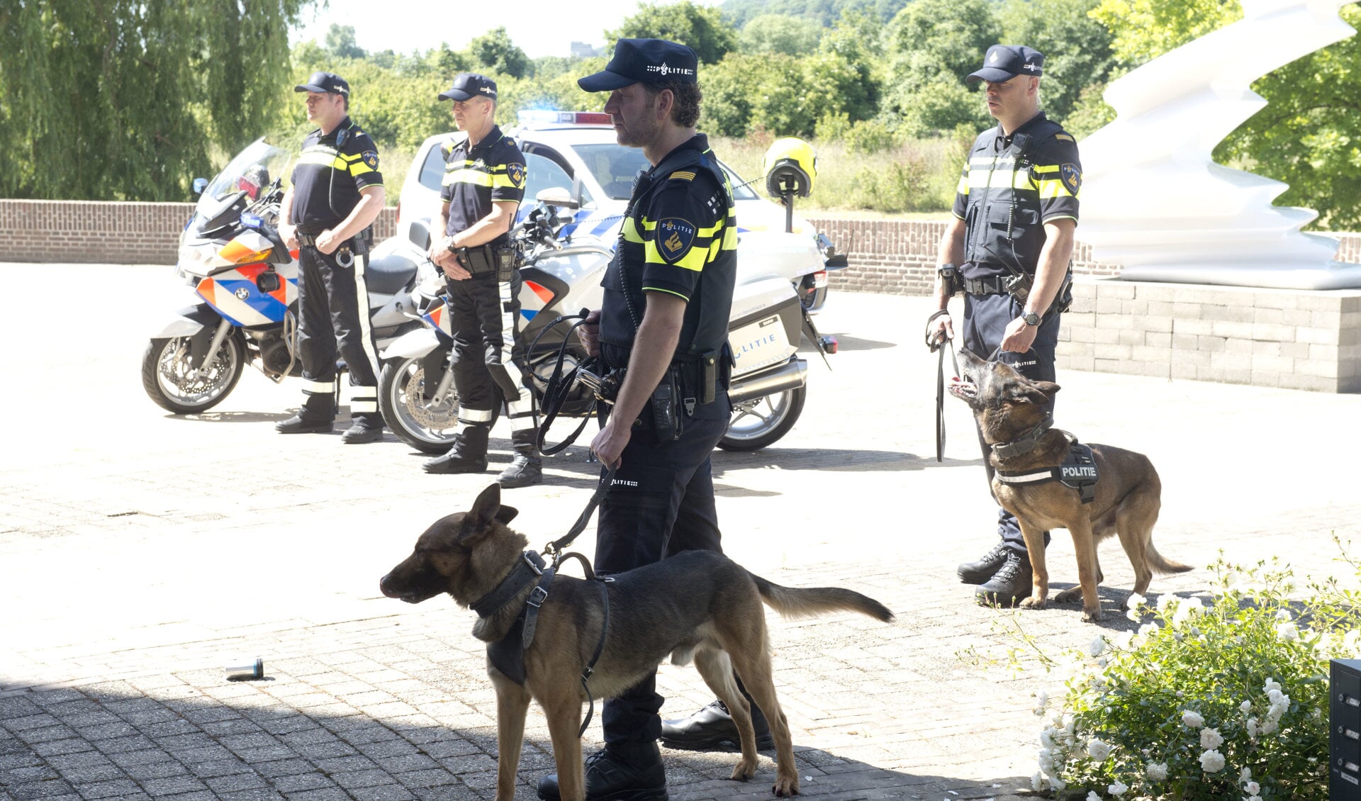De verdachte werd gevonden door een politiehond (foto: Politie Haaglanden).