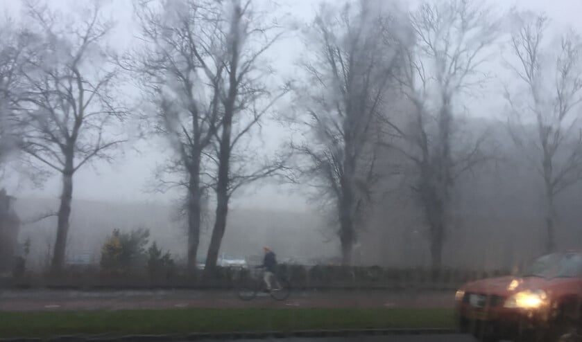 Foto: Martijn Mastenbroek