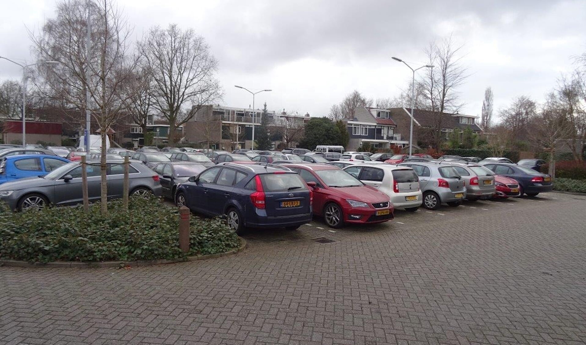 Volle parkeerplaatsen aan de Wilgendreef (foto: Ap de Heus).