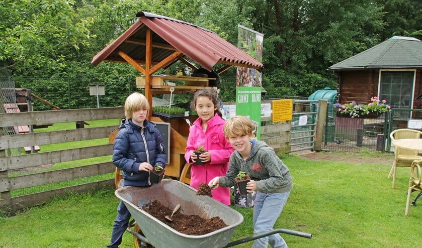 Leerlingen van de Maria Bernadetteschool potten zelf hun kruidenplantjes op (foto: PR.).