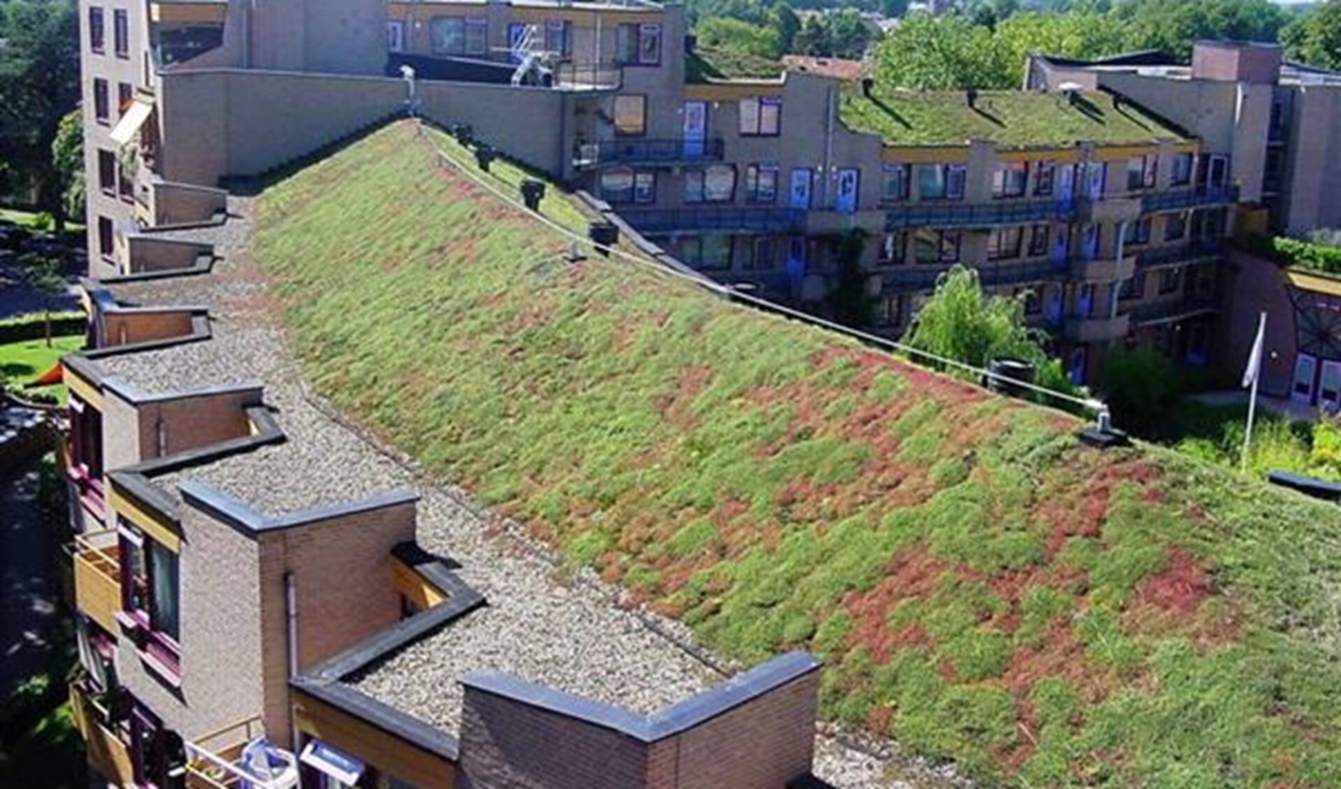 De gemeente hoopt met subsidie meer dan 10.000 m2 groen dak te realiseren (archieffoto).