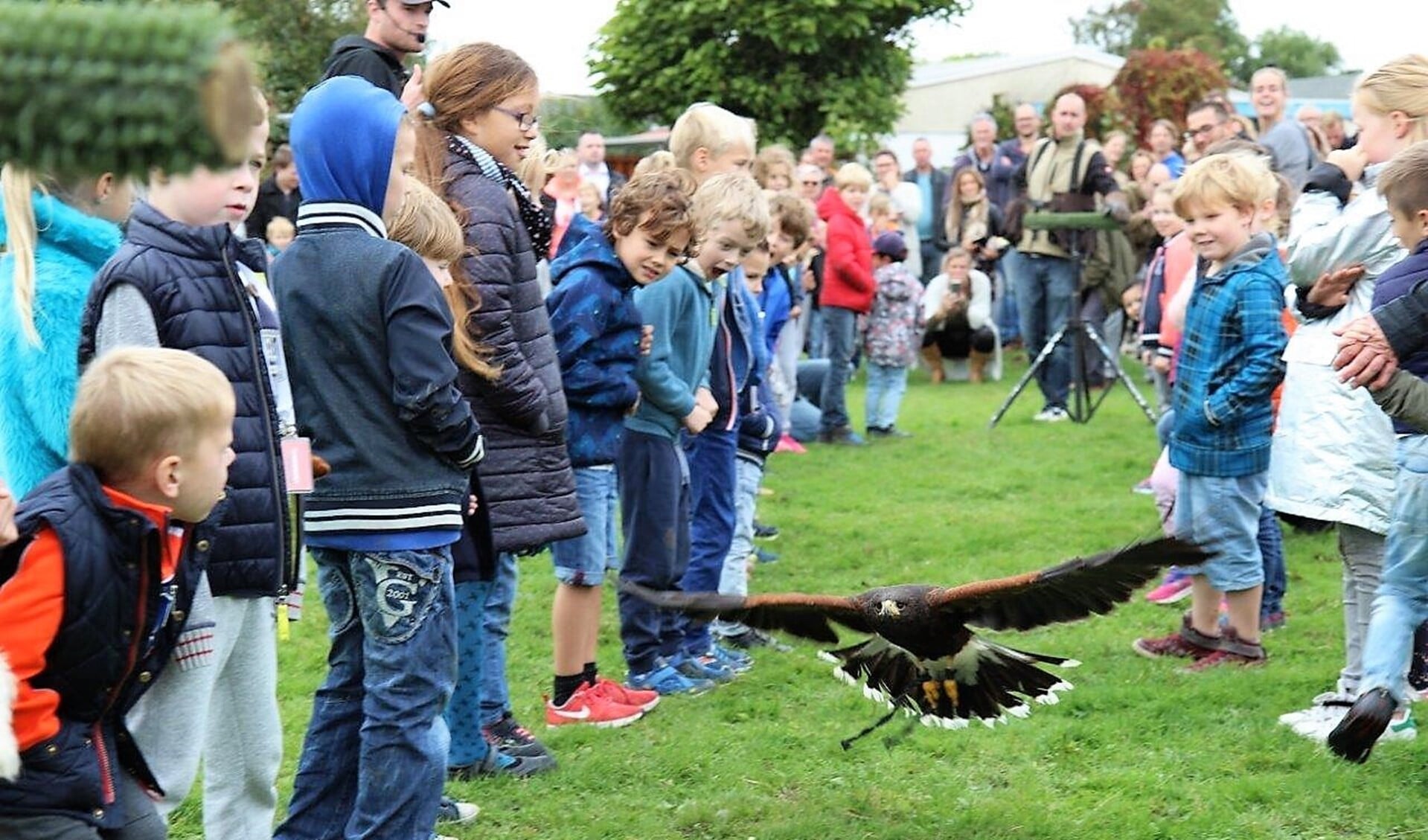 Er was een roofvogelshow waarbij een roofvogel onder meer tussen een smalle haag van jongens en meisjes door vloog;  de kinderen vonden het prachtig (foto: Ap de Heus).