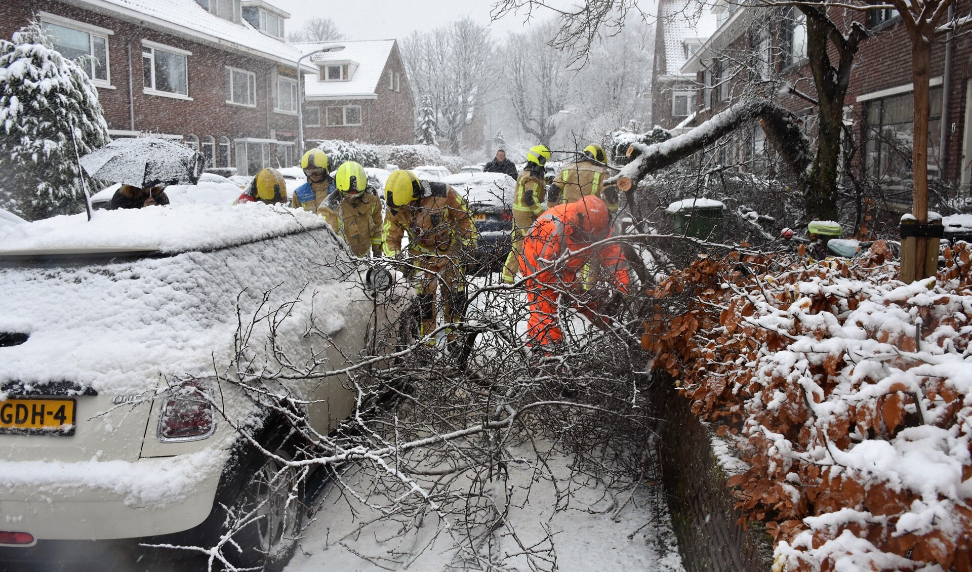 De brandweer moest in actie komen om onder het gewicht van de sneeuw bezweken takken en bomen te verwijderen (foto: AS Media).