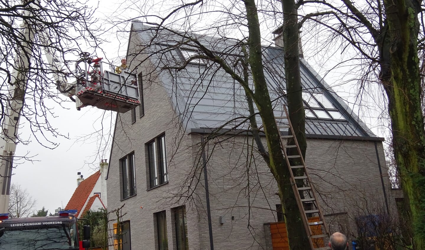 (foto: I. van Kessel).