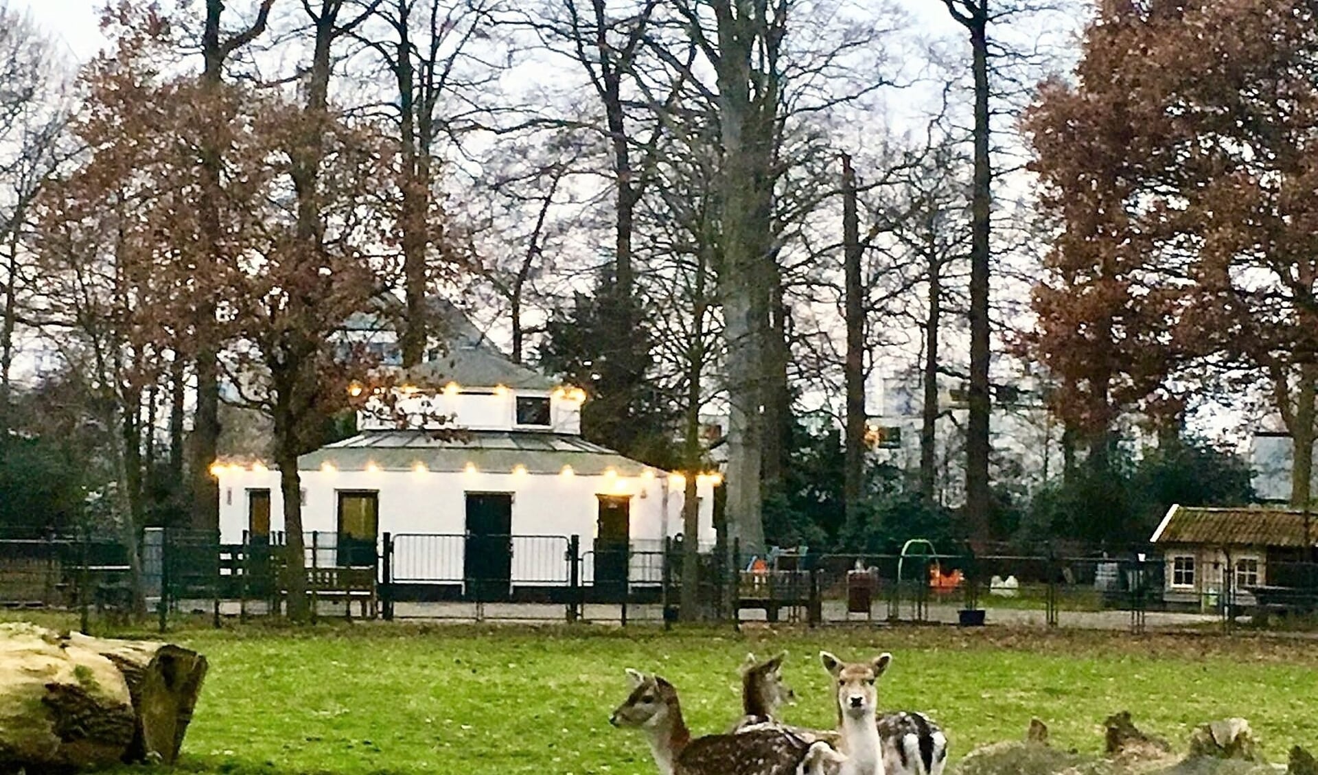 Ook kinderboerderij Vreugd & Rust is voorlopig dicht voor bezoekers (archieffoto).