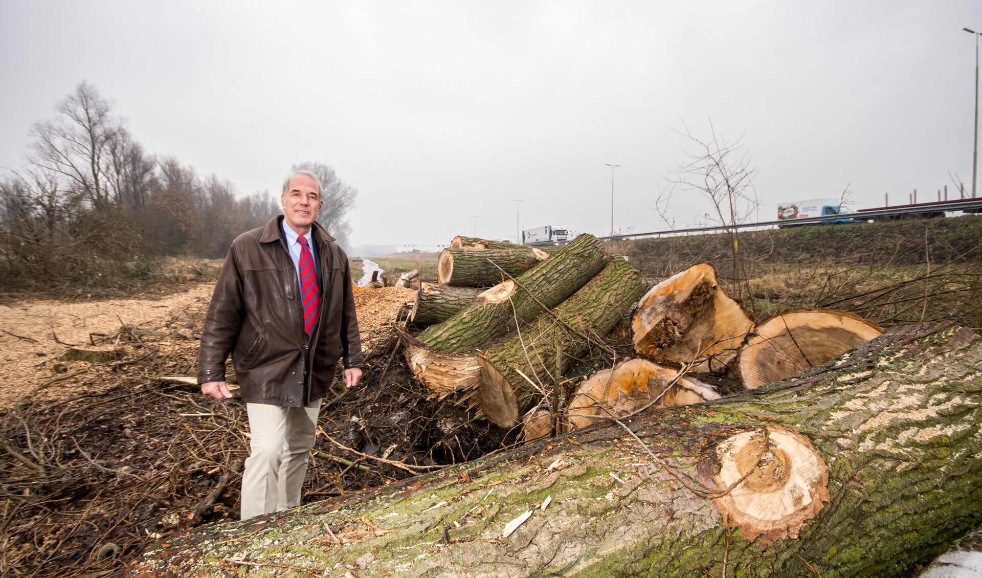 Vlietland-directeur Carpentier Alting bij de gekapte bomen (archieffoto).