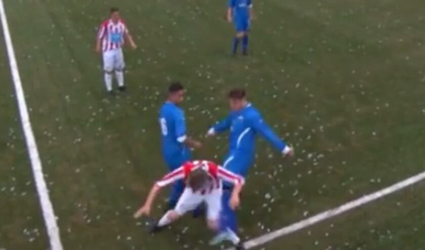 Beelden: De Kelderklasse