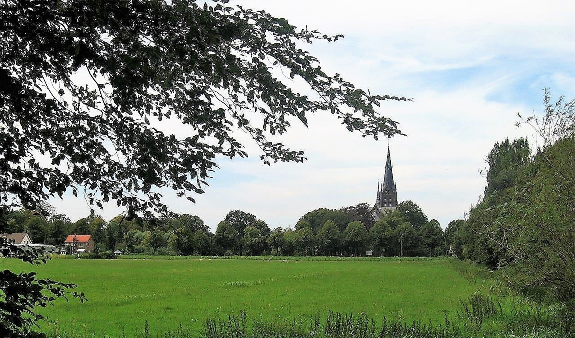 De groene Vlietrand met de St. Martinuskerk in Voorburg op de achtergrond (foto: Ap de Heus).