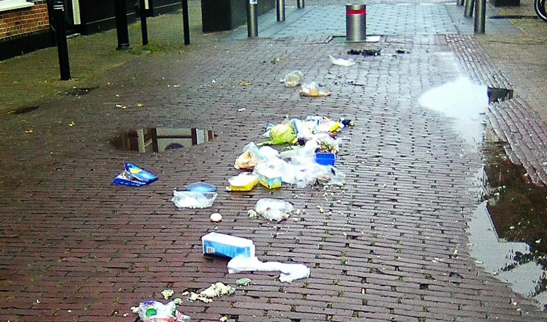 Meeuwen belagen niet alleen afvalzakken die zij openscheuren, maar ook op mensen met boodschappen (foto: Sjors Huiskes).