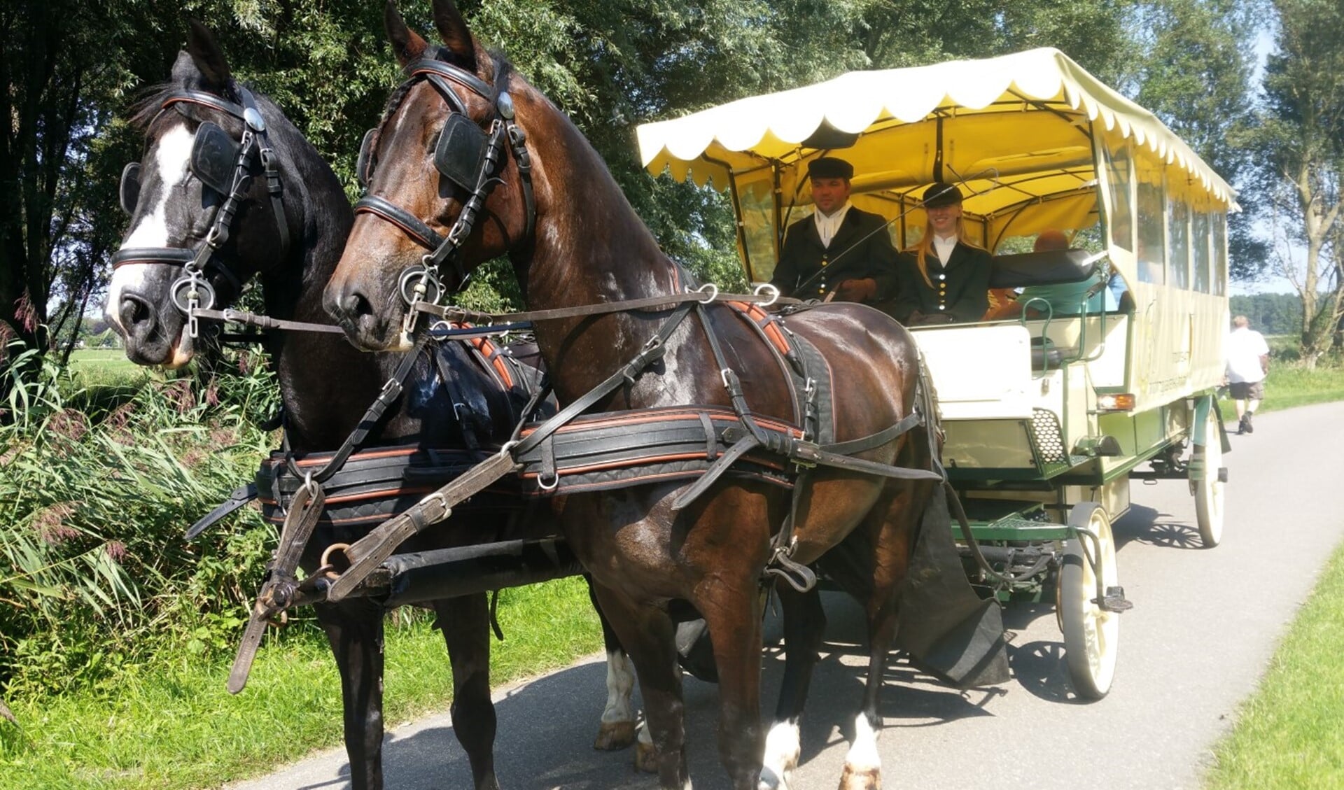 De Monumententoer wordt verzorgd met de bus, maar ook met een gezelschapswagen,getrokken door twee paarden (foto: pr).