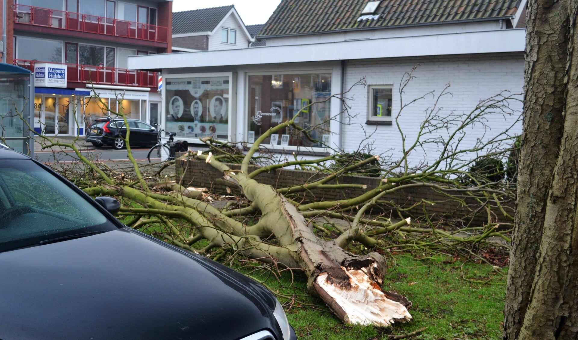 Aan de Prins Hendriklaan in Leidschendam brak een tak af, die precies tussen de herenkapsalon van Rimmelzwaan en een geparkeerde auto terecht kwam (foto: M. Rimmelzwaan).