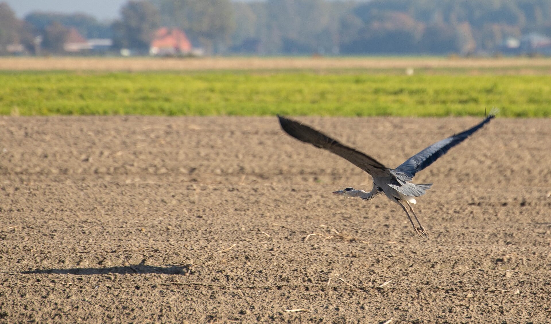 De excursie op woensdag 14 november start om 13.00 uur, duurt maximaal twee uur en is geheel gratis.