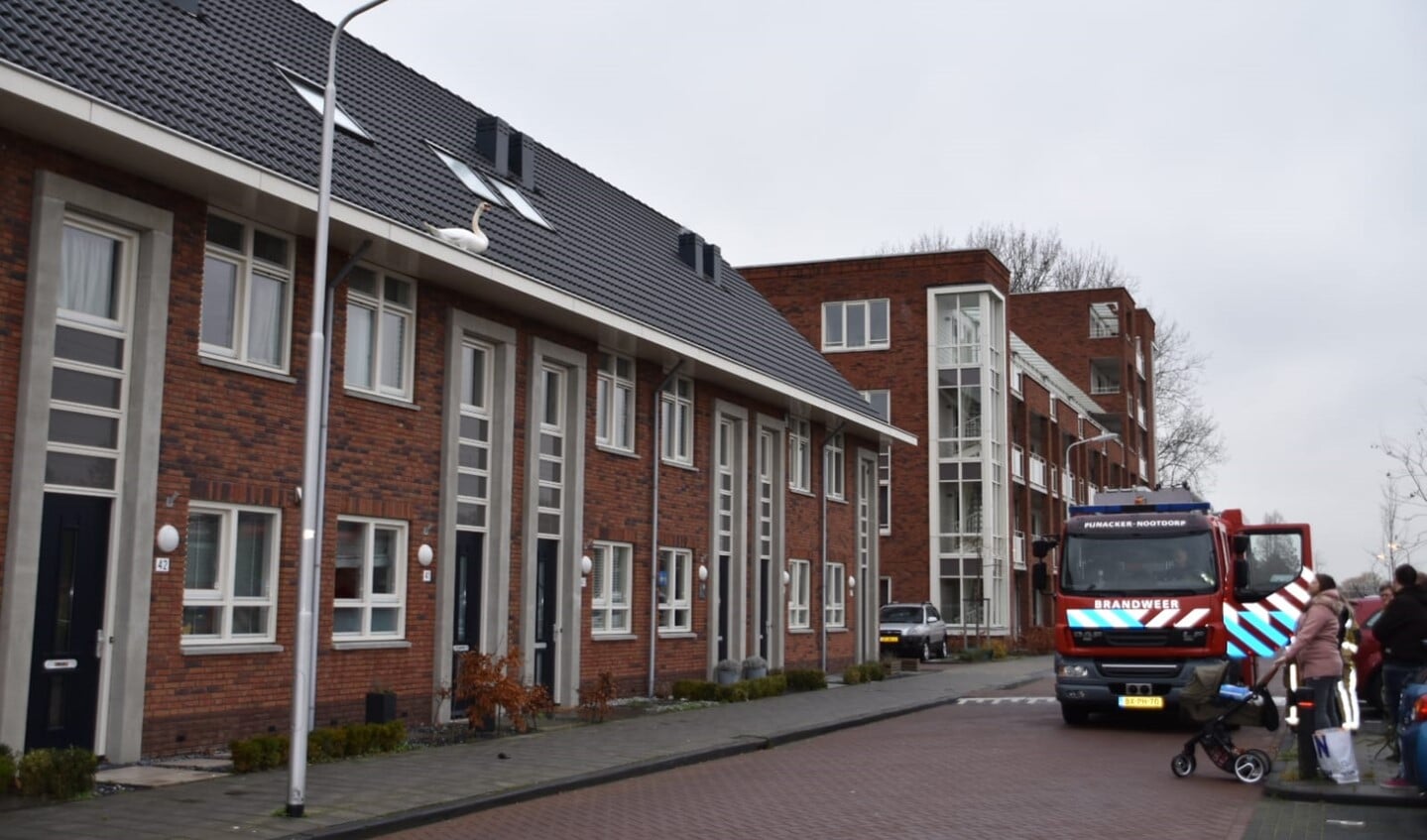 Beelden: Ackershof 2