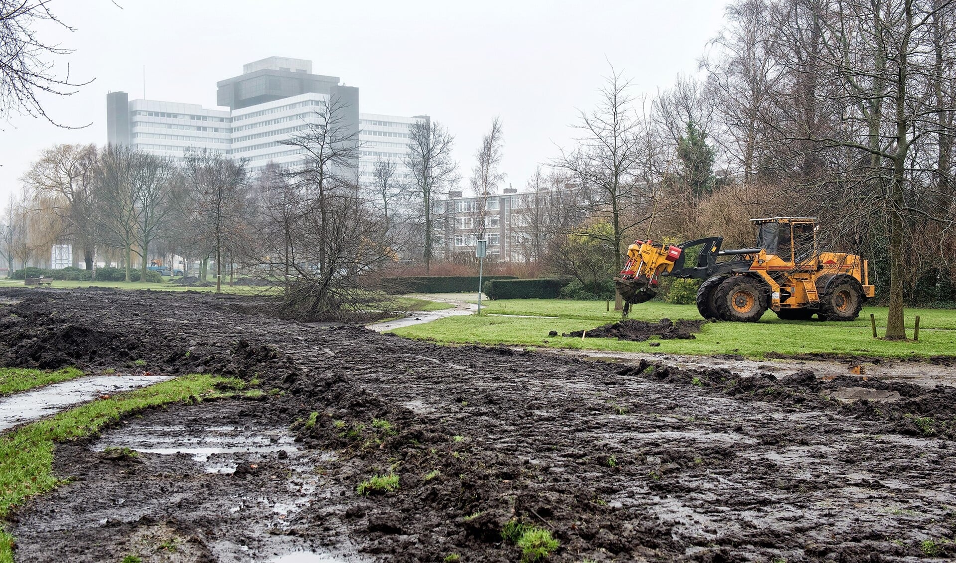 In 't Park het Loo werden 16 grote bomen uitgestoken en op transport gezet naar hun nieuwe standplaats in Zeeland (foto: Michel Groen).