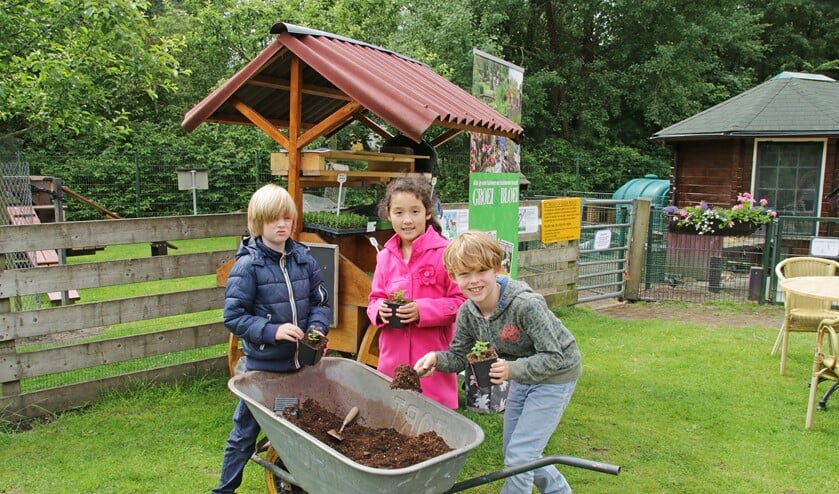 In de Stadstuin kun je zelf kruidenplantjes oppotten om mee naar huis te nemen en waarvan je je eigen smaakmakers kunt oogsten (archieffoto pr).