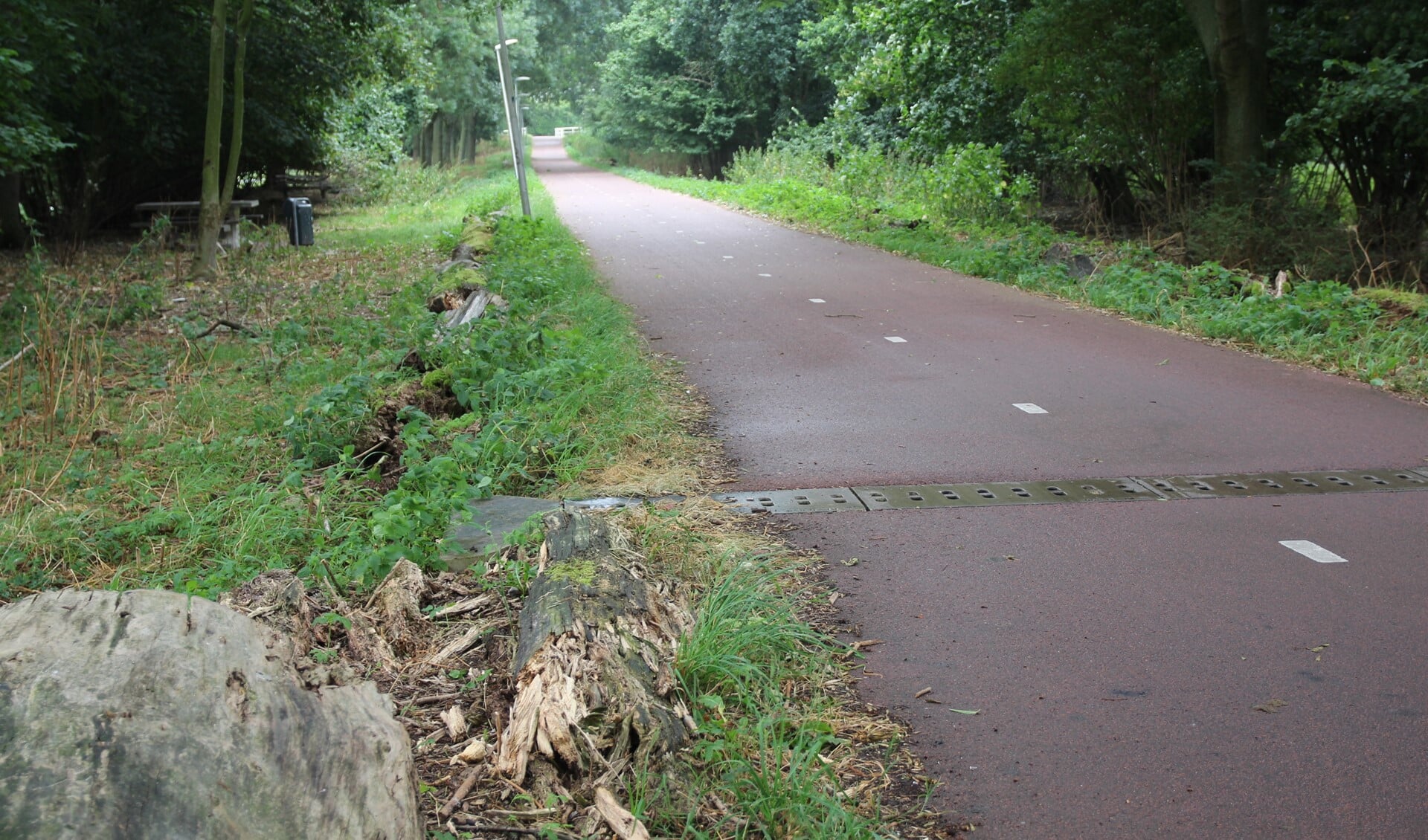 Het Molenpad is een fiets/wandelpad tussen de Nieuwkoopseweg en Pijnacker Noord.