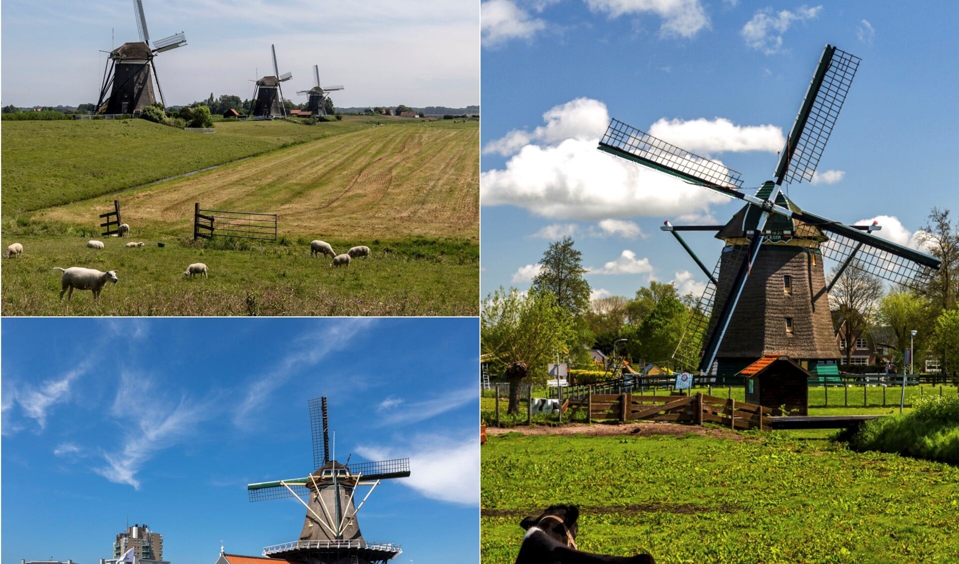 De molens van Leidschendam-Voorburg presenteren zich op een lokale Molendag (foto Charles Groeneveld).