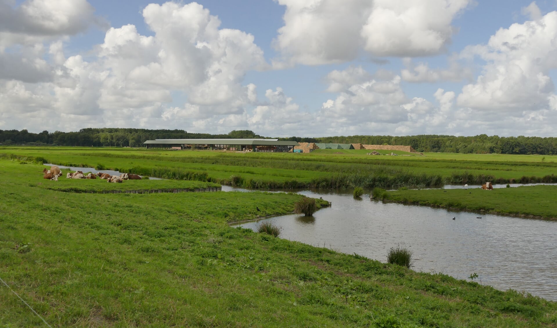 Een belangrijk open stuk, met veel kenmerken van het oorspronkelijke oude landschap, is de Polder van Biesland. 