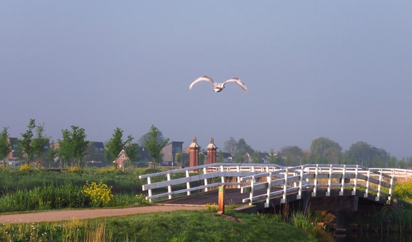 <p>De Groenzoom. (foto: Nel Giorgi)</p>