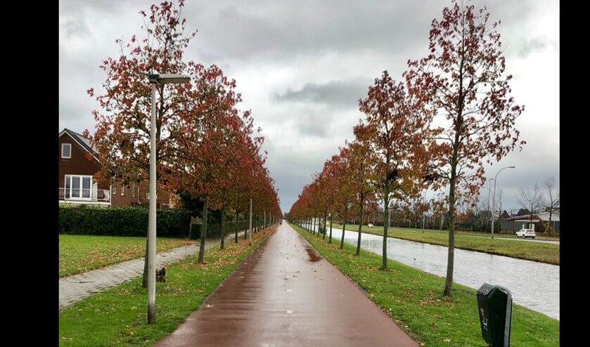 <p>Fietspaden voorzien van zonnepanelen</p>