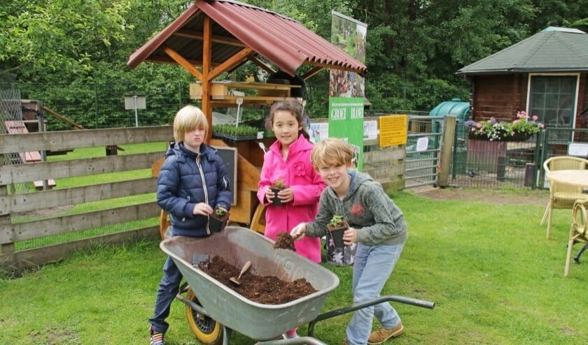 Het gehele jaar door vinden er leuke activiteiten plaats in Stadstuin Rusthout (archieffoto).