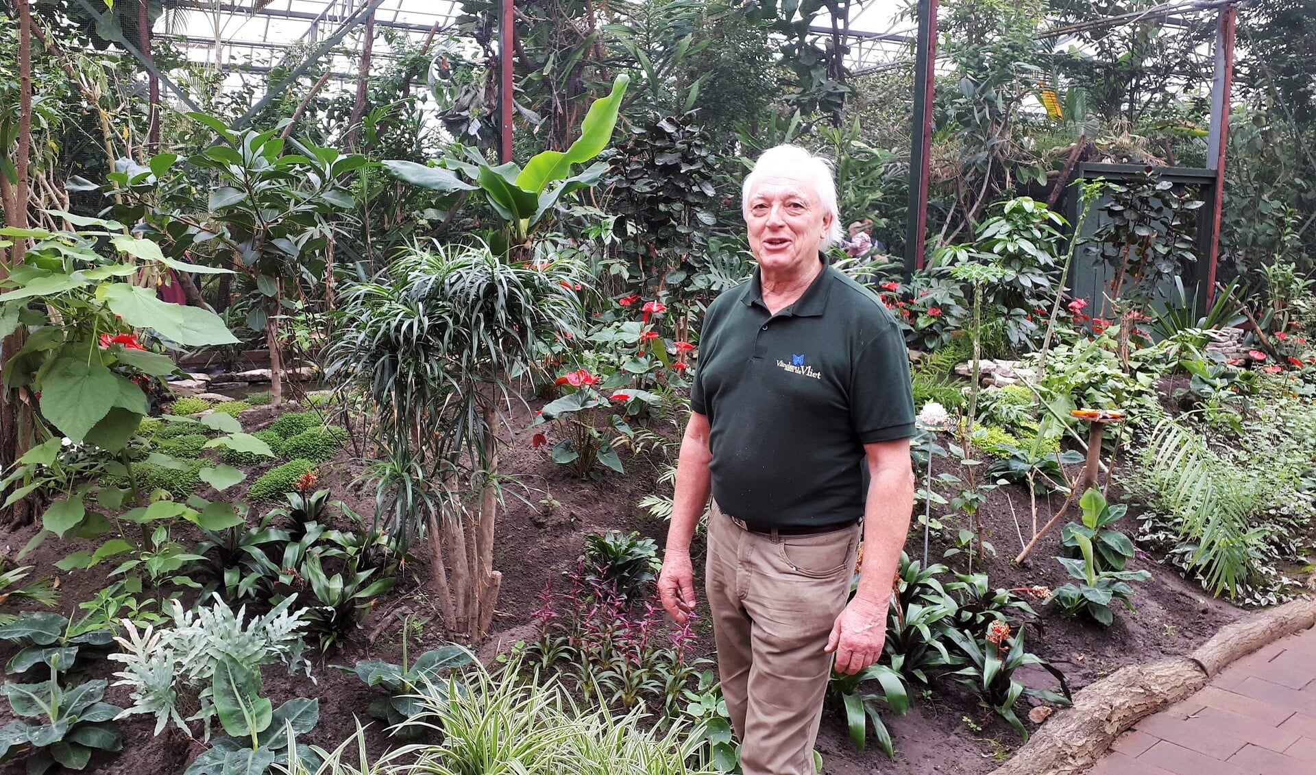 Jan ('Vlinderman') Kienjet in de bijzondere tropische vlindertuin, die inmiddels is uitgegroeid tot een volwaardige en erkende kleine dierentuin. 