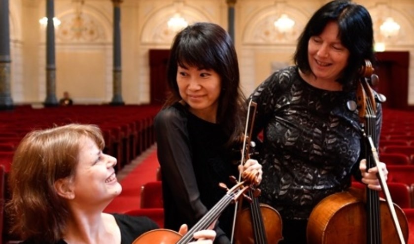 Op het programma staan werken van Dvorak, Kodaly, Strauss en Schulhoff. Foto: pr