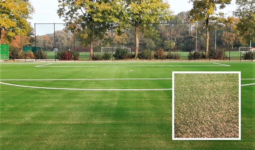 Het hoofdveld van Wilhelmus wordt ingestrooid met kurk in plaats van rubberkorrels (foto: gemeente LDVB).