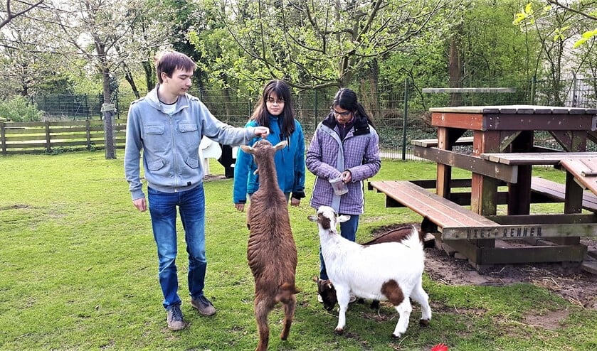 Jorian, Lian en Rajitha zijn drie jonge enthousiaste vrijwilligers van de Stadstuin Rusthout in Leidschendam (foto: Vrijwilligerspunt).