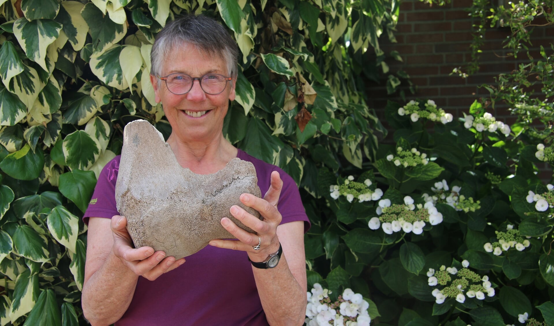 De 40.000 jaar oude vondst van Truus: een bot van een wolharige mammoet. (foto: Caroline Elfferich)