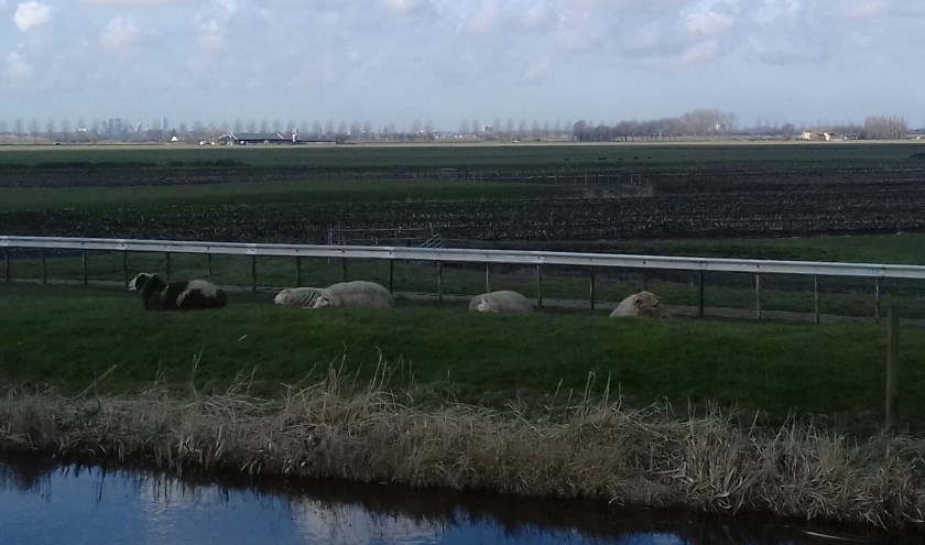 Regionale samenwerking zorgt voor resultaat, zoals in de Meerpolder. Foto: Anneke Otten