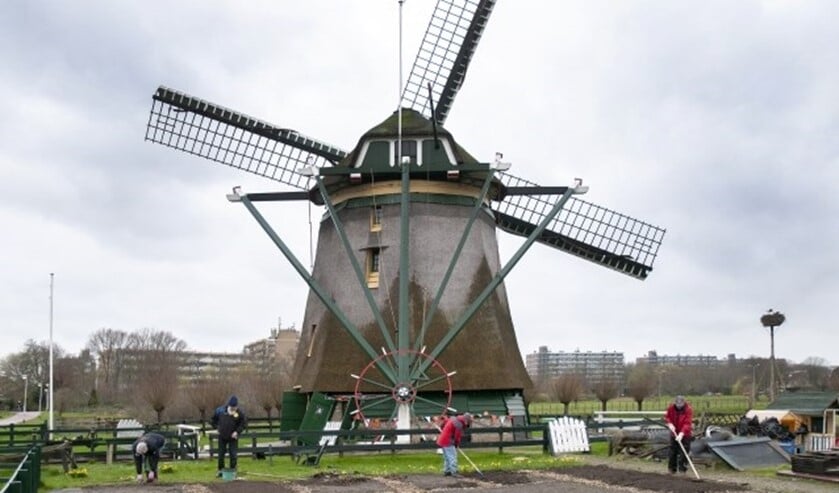 Molen De Vlieger (archieffoto: Michel Groen).