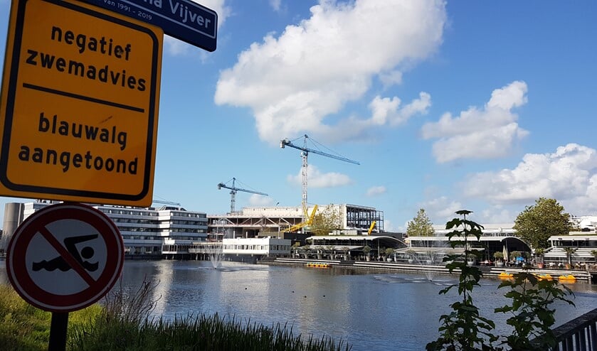 Aangezien borden waarschuwen voor blauwalg, leveren de spuitende fonteinen bij Leidsenhage mogelijk gevaar op (foto: Leen van der Biessen).