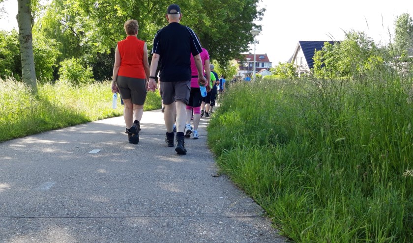 De officiële Geuzenwandeltocht op zondag 29 september heeft twee schitterende parkoersen. Foto: pr