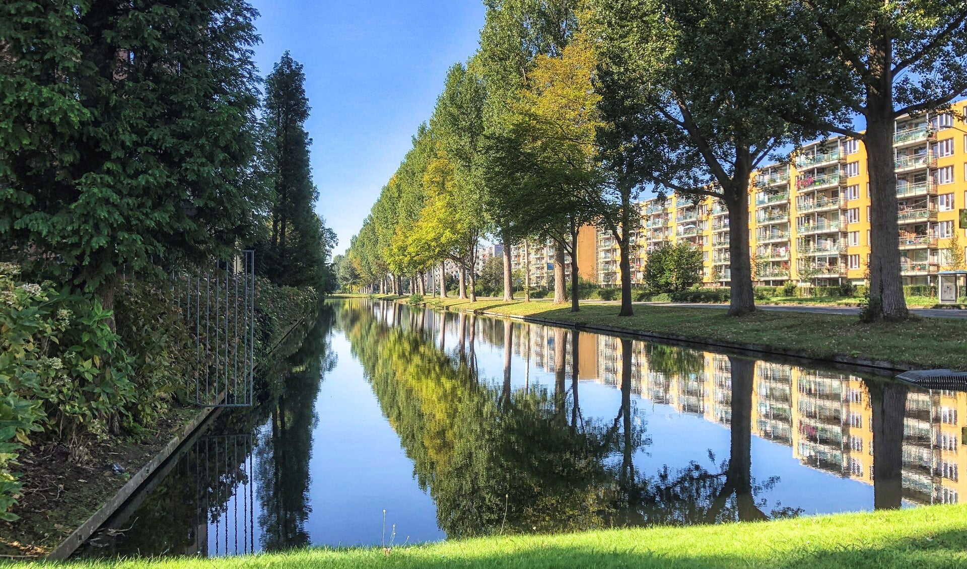 Veel groen en bomen langs de Noordsingel in Leidschendam (archieffoto).