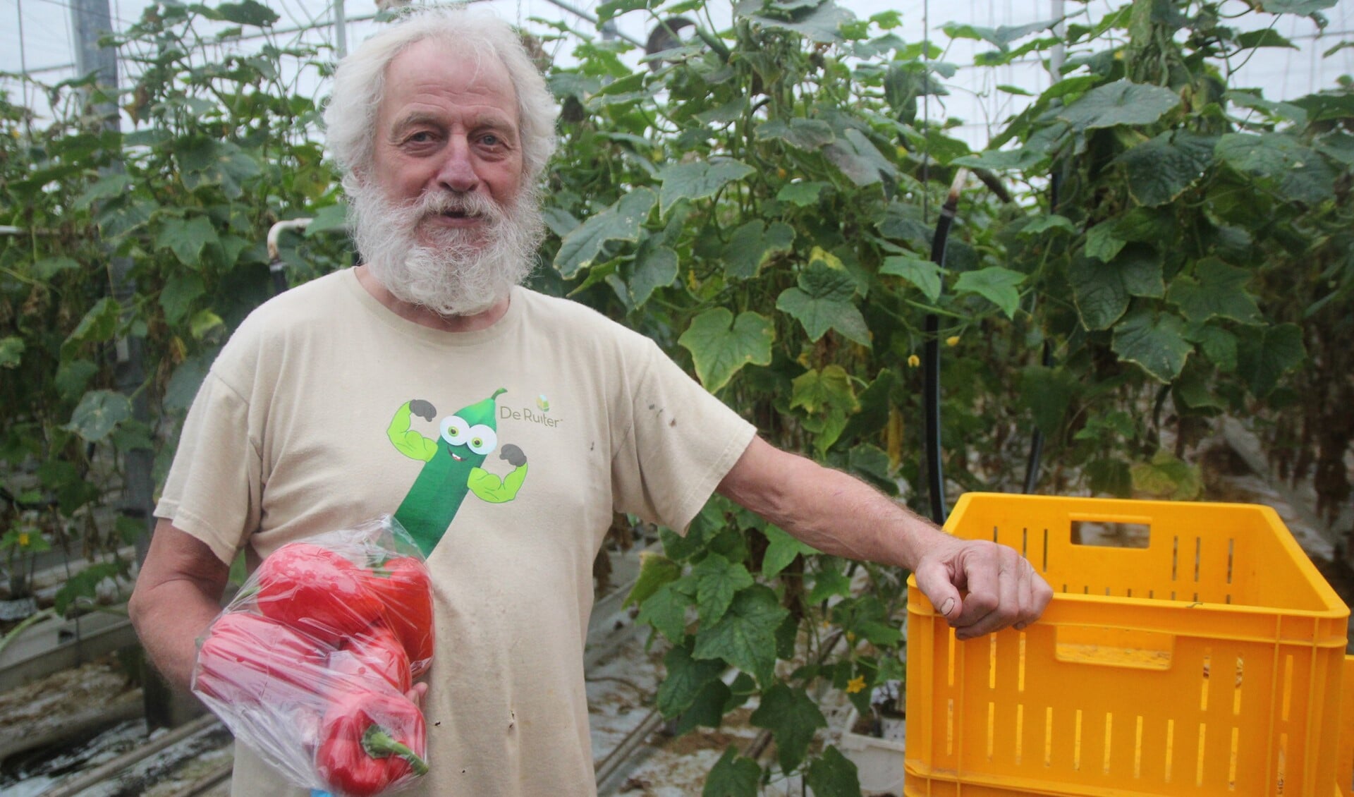 Han van der Helm kreeg vrijdag van de nieuwe eigenaren een zakje prima paprika’s. Achter hem zijn laatste komkommergewas.