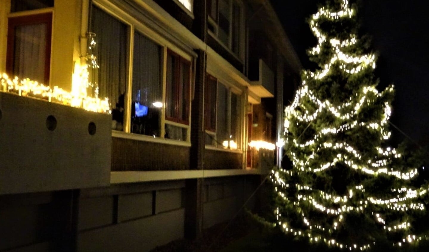 De boom zorgt 's avonds voor een feestelijke aanblik (foto: Ap de Heus).