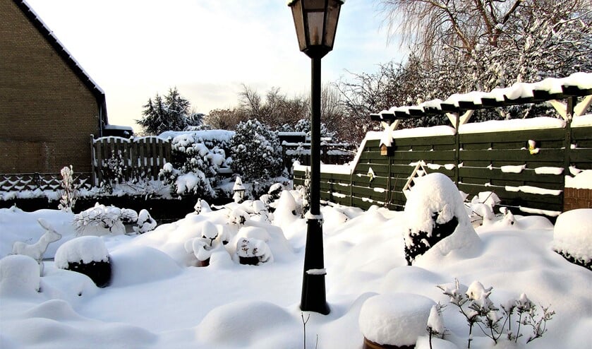 <p>Sneeuw is het beste winterdek voor planten (foto: Groei & Bloei Leidschendam).</p>