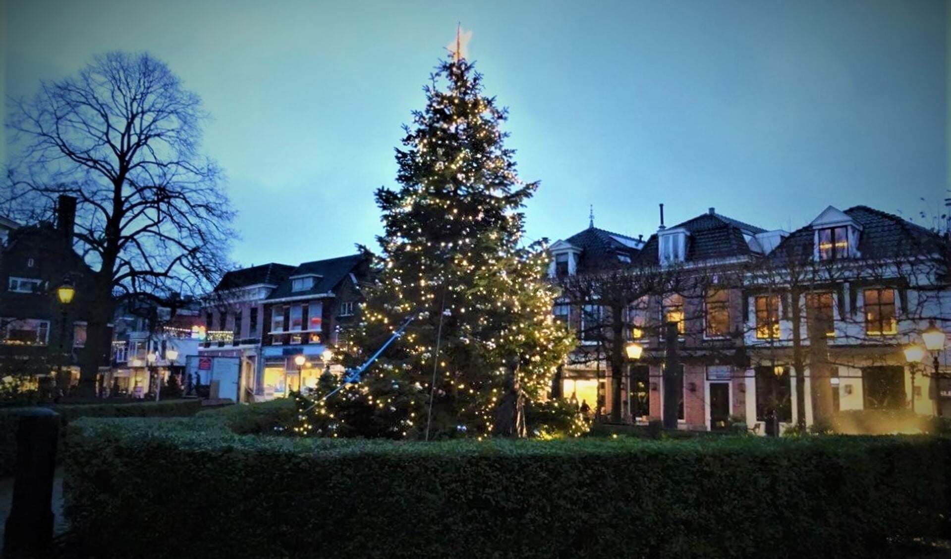 De kerstboom in de Herenstraat (foto: Ap de Heus).