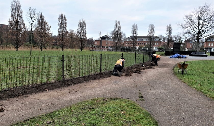<p>Het hek rond de hondenlosloopplaats in Park Sijtwende (archieffoto).</p>