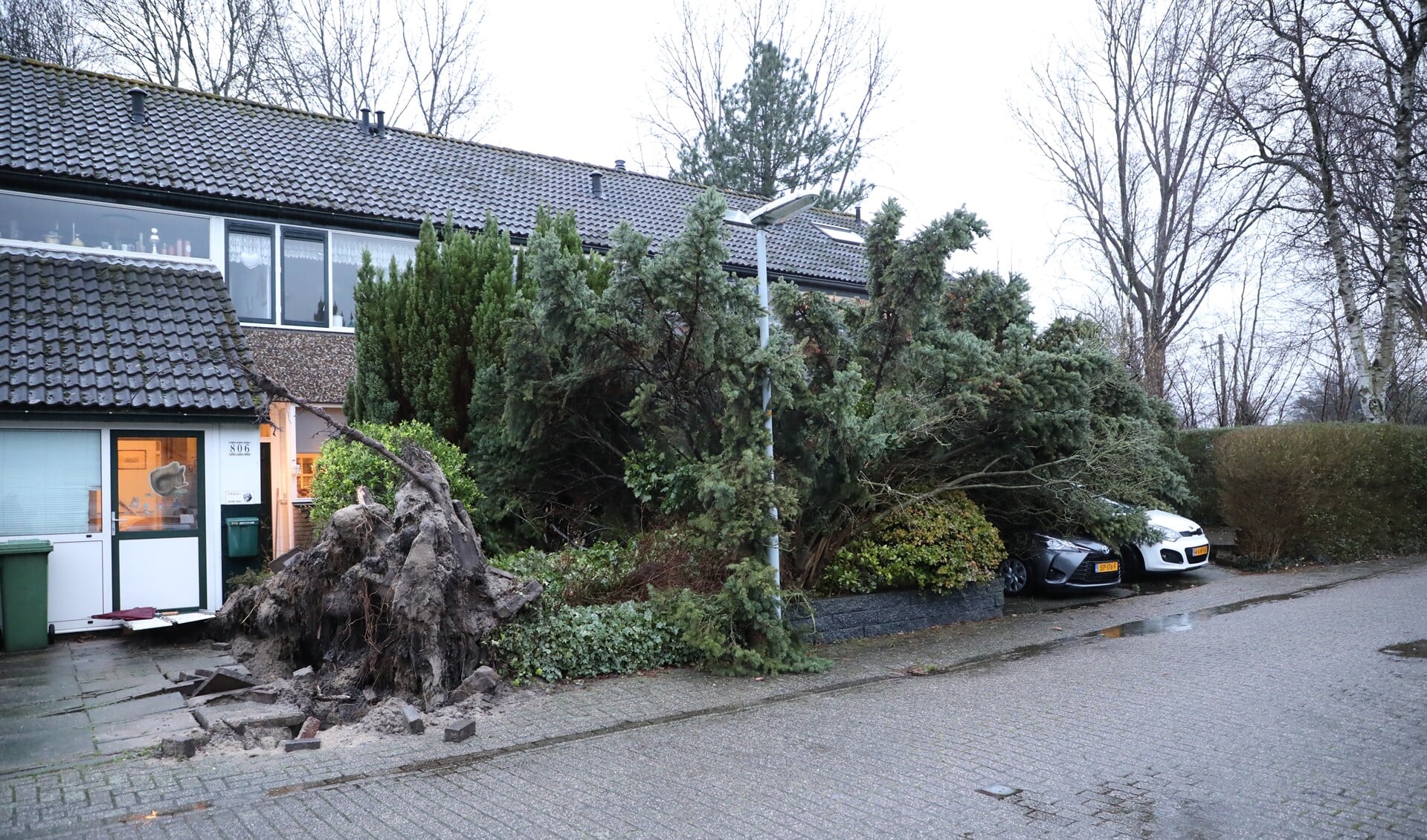 De boom bleek niet bestand tegen storm Dennis (Foto: Regio15/Donny Kooistra)
