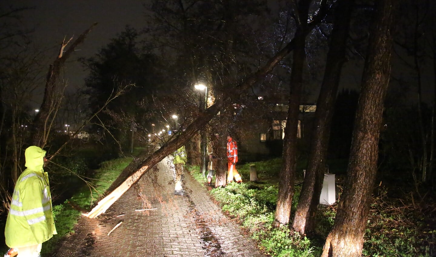 Op de Schoorlaan viel een boom over het pad (Foto: Regio15)