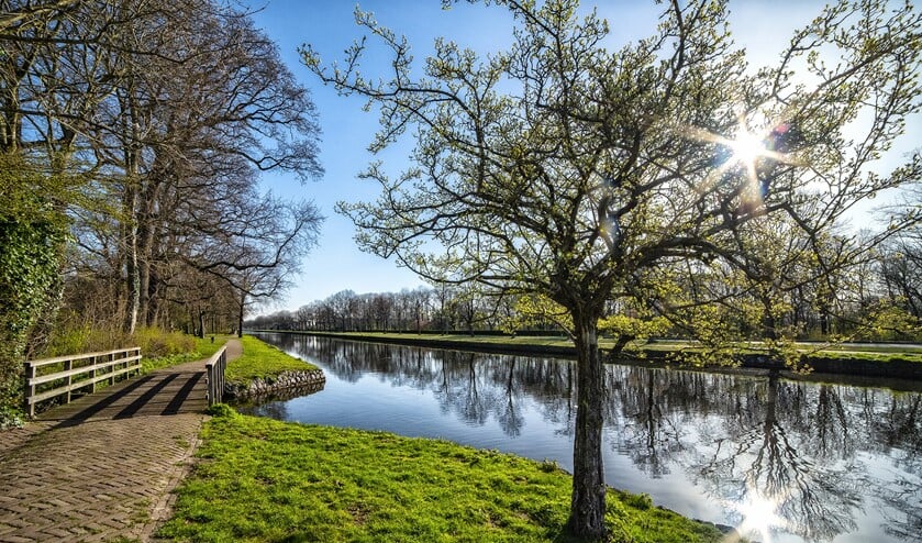 Foto van Michel Groen; ook mooi voor aan de wand (foto: Michel Groen).