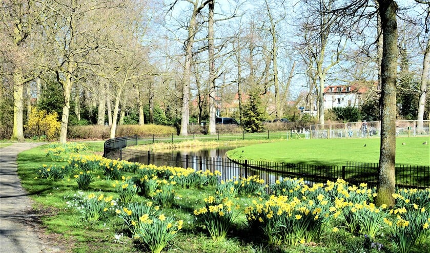 (foto: Iris Kaiser-Okkes).